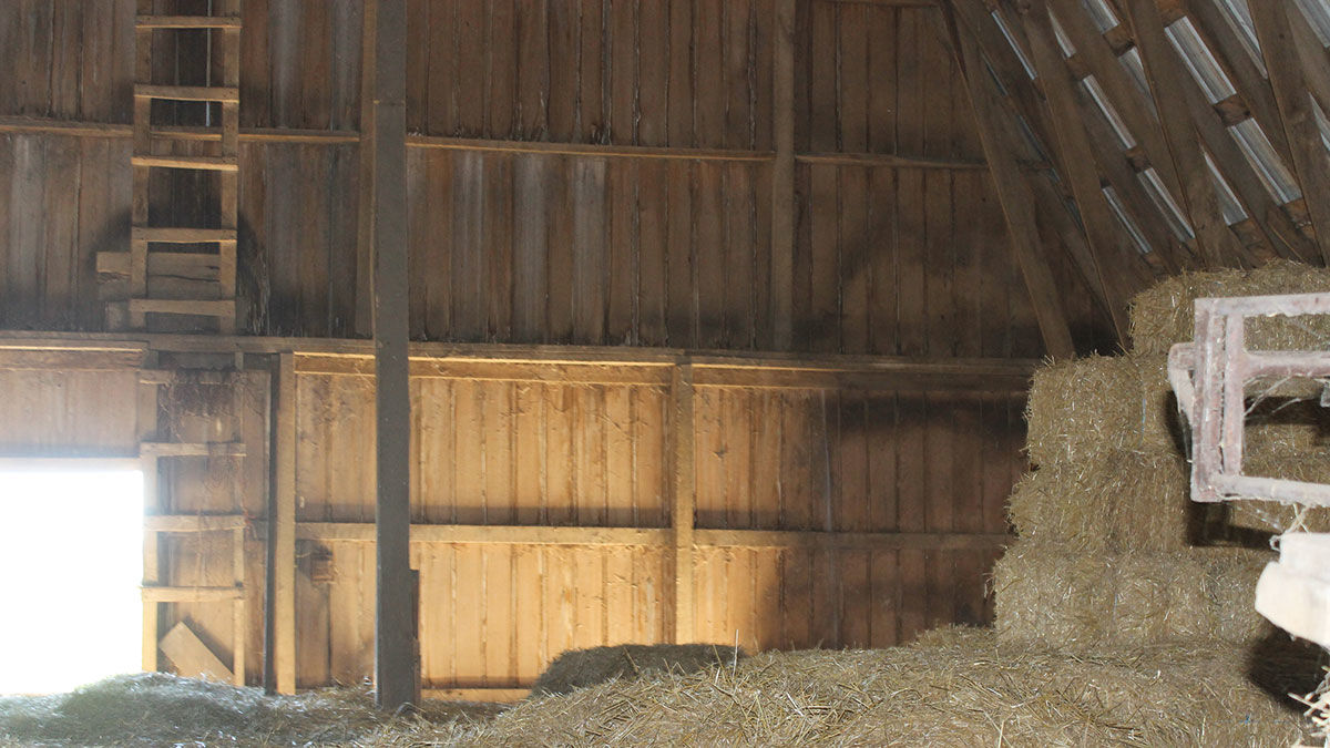 Hay loft